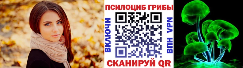 omg вход Сыктывкар Галлюциногенные грибы Psilocybine cubensis